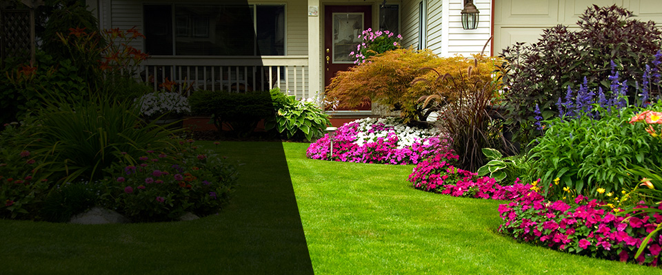Davisburg Landscapers