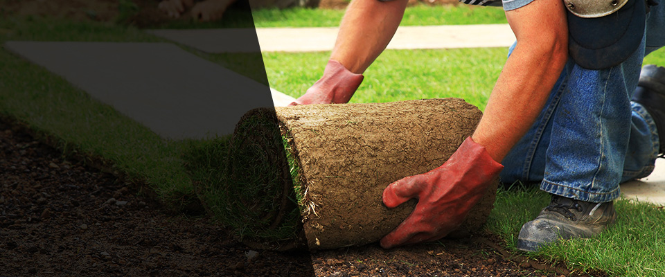 Davisburg Landscapers